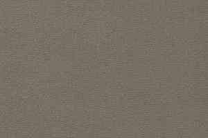 Ковролин Vorwerk Passion 1021 Vorwerk 5q01 фото  | FLOORDEALER