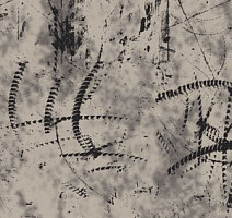 Ковролин Ege Highline Graphic rf 55001003 фото 1 | FLOORDEALER