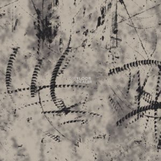 Ege Highline Graphic rf 55001003 фото 1 | FLOORDEALER