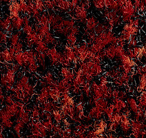 Forbo Coral Brush 5723 Cardinal Red фото 2 | FLOORDEALER