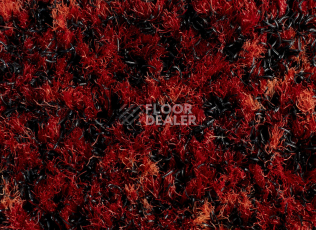 Forbo Coral Brush 5723 Cardinal Red фото 2 | FLOORDEALER