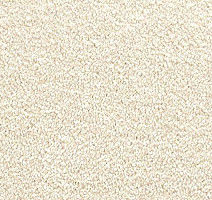 Ковролин Vorwerk Passion 1001 Vorwerk 6c52 фото 1 | FLOORDEALER