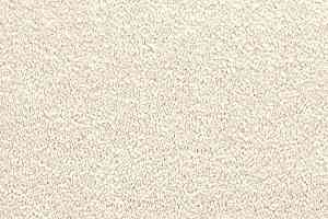 Ковролин Vorwerk Passion 1001 Vorwerk 6c52 фото  | FLOORDEALER