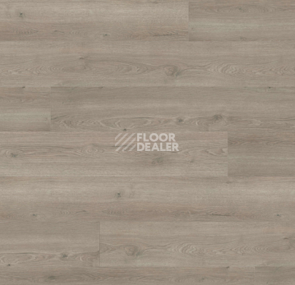 Ламинат Haro Tritty 200 Aqua Gran Via 4V Дуб Флавия Серый 544790 фото 1 | FLOORDEALER