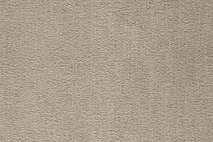 Ковролин Balta ITC President 92 фото  | FLOORDEALER