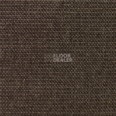 Ковролин Carpet Concept Eco Iqu 60251 фото 1 | FLOORDEALER