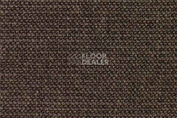 Ковролин Carpet Concept Eco Iqu 60251 фото 1 | FLOORDEALER