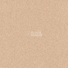 Линолеум Tarkett Primo Plus Depot Primo 302 фото 1 | FLOORDEALER
