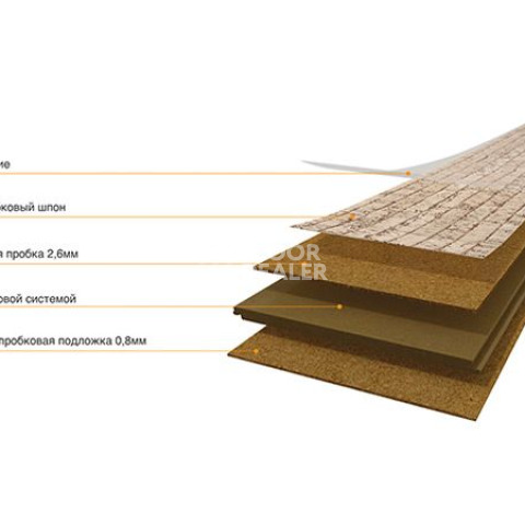 Cork Essence O830003   Originals Symphony фото 3 | FLOORDEALER