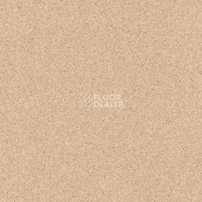 Линолеум Tarkett Primo Plus Depot Primo 302 фото 1 | FLOORDEALER