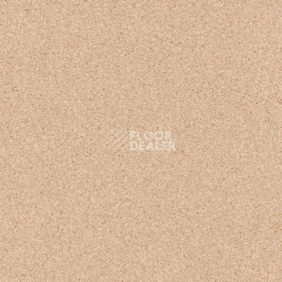 Линолеум Tarkett Primo Plus Depot Primo 302 фото 1 | FLOORDEALER