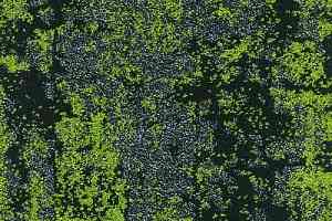 Ковровая плитка Nature 08 фото  | FLOORDEALER