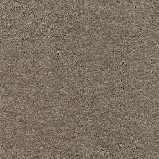 Ковролин AW Danieli 45 фото 1 | FLOORDEALER