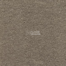 Ковролин AW Danieli 45 фото 1 | FLOORDEALER