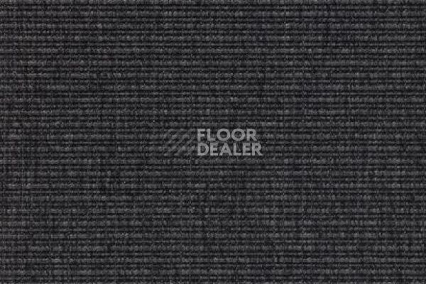 Ковролин Carpet Concept Eco 2 6791 фото 1 | FLOORDEALER