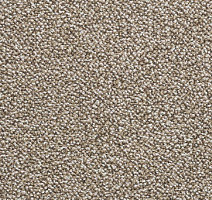 Ковролин Condor Masquerade Detroit Desert фото 1 | FLOORDEALER