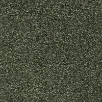 Ковролин AW Masquerade Porzia 24 фото 1 | FLOORDEALER