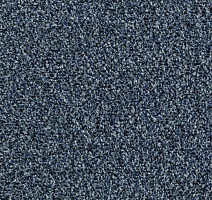 Грязезащитные покрытия Forbo Coral Go 2207 Paris Blue фото 1 | FLOORDEALER