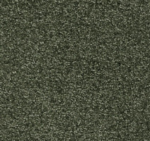 Ковролин AW Masquerade Porzia 24 фото 1 | FLOORDEALER