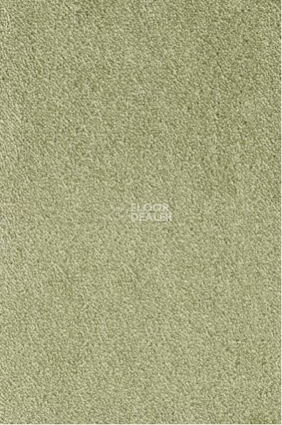Ковролин AW Lima 29 фото 1 | FLOORDEALER