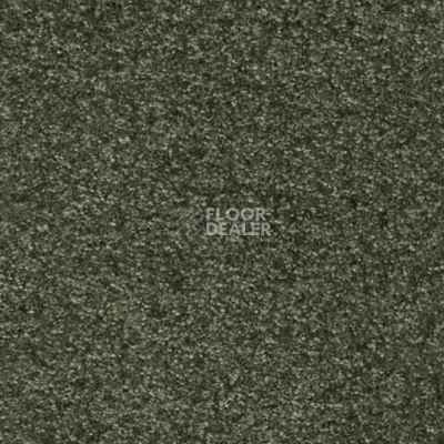 Ковролин AW Masquerade Porzia 24 фото 1 | FLOORDEALER