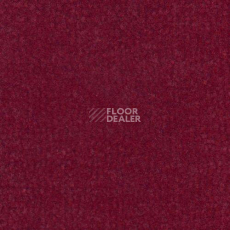 Ковролин Дюна Тафт Venetto 832 фото 1 | FLOORDEALER