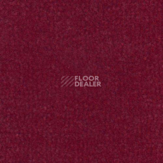 Ковролин Дюна Тафт Venetto 832 фото 1 | FLOORDEALER