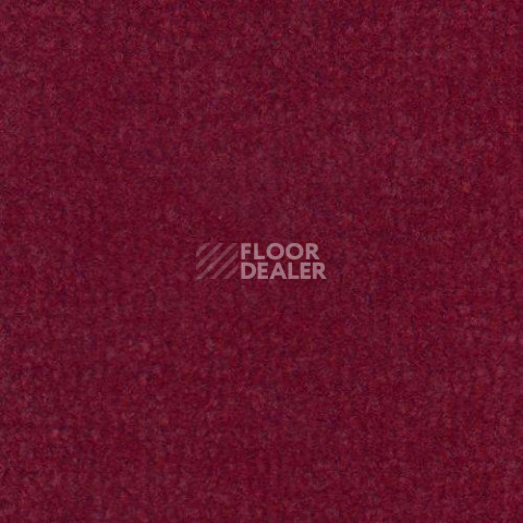 Ковролин Дюна Тафт Venetto 832 фото 1 | FLOORDEALER