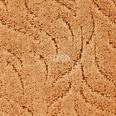 Ковролин AW Asta 80 фото 1 | FLOORDEALER