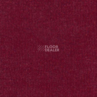 Ковролин Дюна Тафт Venetto 832 фото 1 | FLOORDEALER