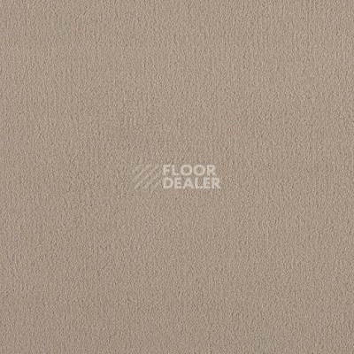 Ковролин Lano Brezina 230 фото 1 | FLOORDEALER