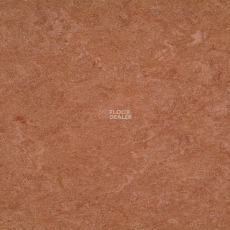 Marmorette Acoustic DLW 121-003 фото 1 | FLOORDEALER