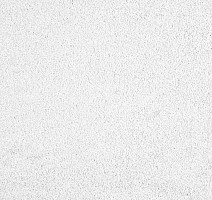 Ковролин ITC Carpe Diem Carpe Diem 030 фото 1 | FLOORDEALER