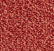 Ковролин Balsan Centaure Deco 588 фото 1 | FLOORDEALER