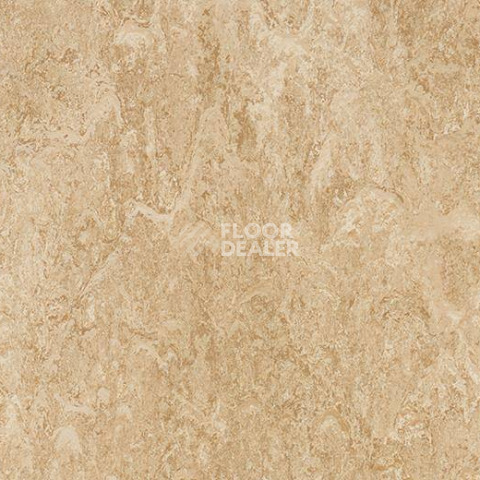 Кварцвиниловые полы Forbo Marmoleum Modular Marble 2707 фото 1 | FLOORDEALER