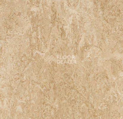Кварцвиниловые полы Forbo Marmoleum Modular Marble 2707 фото 1 | FLOORDEALER