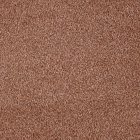 Ковролин AW Secret 85 фото 1 | FLOORDEALER