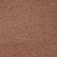 Ковролин AW Secret 85 фото 1 | FLOORDEALER