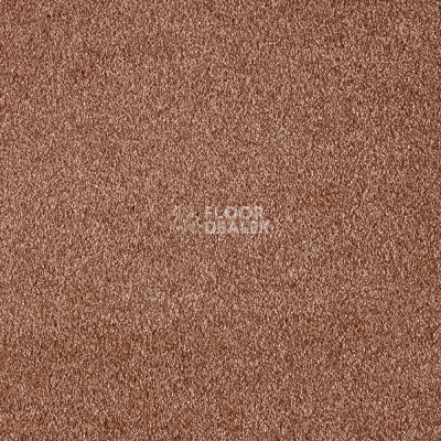 Ковролин AW Secret 85 фото 1 | FLOORDEALER