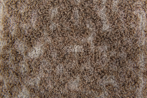 Flotex Colour Canyon 50*50 t 545025 Canyon Earth фото 2 | FLOORDEALER