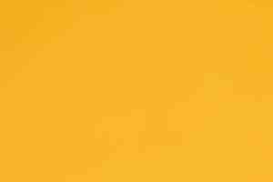 Линолеум Forbo Sportline Classic Fr 01070 фото  | FLOORDEALER