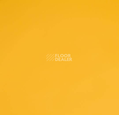 Линолеум Forbo Sportline Classic Fr 01070 фото 1 | FLOORDEALER