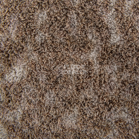 Forbo Flotex Colour Canyon 50*50 t 545025 Canyon Earth фото 2 | FLOORDEALER