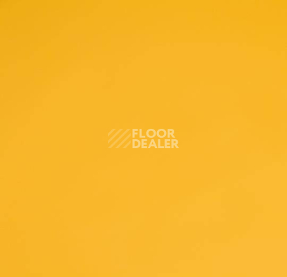 Линолеум Forbo Sportline Classic Fr 01070 фото 1 | FLOORDEALER