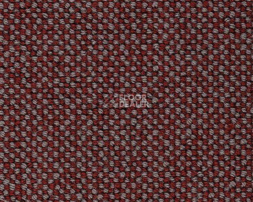 Ковролин Best Wool Pure Kensington 139 фото 1 | FLOORDEALER