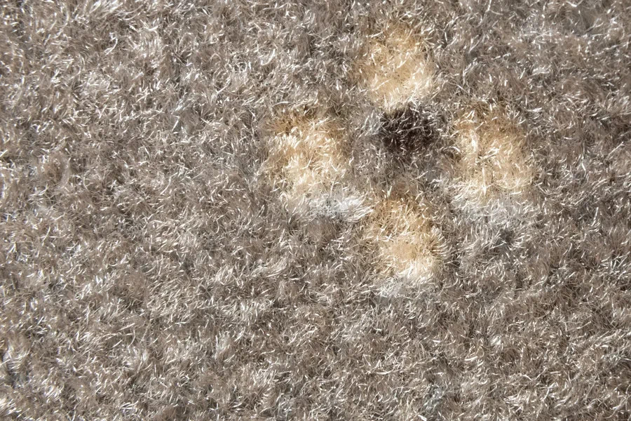 AW Animo AW Animo 49 фото 3 | FLOORDEALER