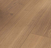 Ламинат Parador Trendtime 6 1744708 Дуб Studioline Мед фото 1 | FLOORDEALER