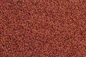 Ковролин Vorwerk Exclusive1009/Elara 1m16 фото  | FLOORDEALER