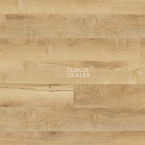 Линолеум Polyflor Camaro Wood 2231 фото 1 | FLOORDEALER