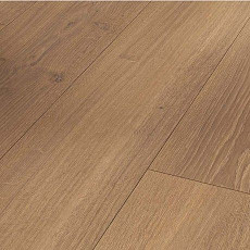 Ламинат Parador Trendtime 6 1744708 Дуб Studioline Мед фото 1 | FLOORDEALER